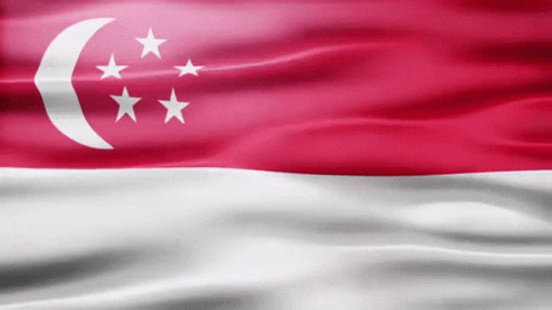 Singapore government flag