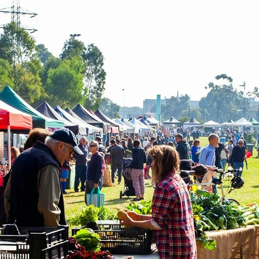 Web Design Bundoora - City of Bundoora