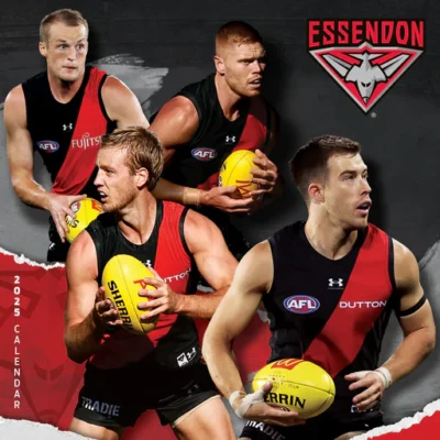 Web Design Essendon VIC