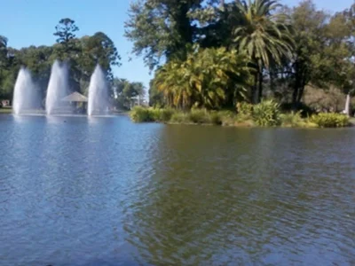 Web Design Moonee Ponds