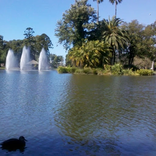 Web Design Moonee Ponds