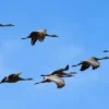 Seamless-Website-Migration-1 Website Migration For Clients