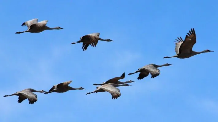 Website Migration For Clients